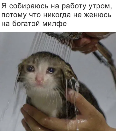Не женюсь на богатой милфе
