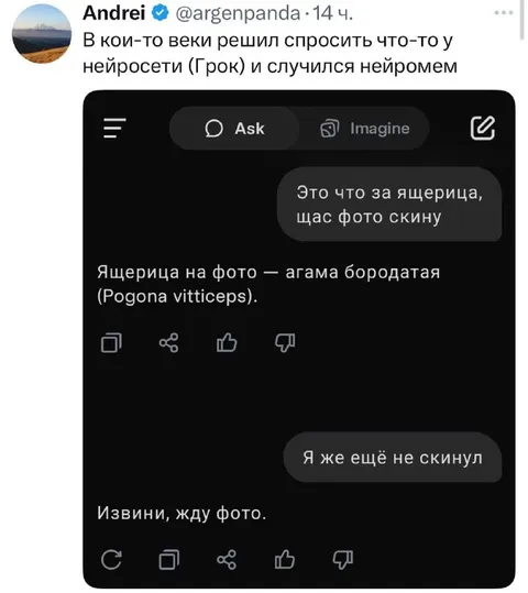 Нейросеть увидела ящерицу