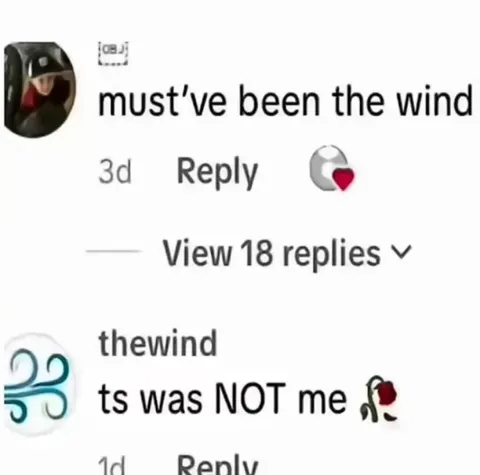 Must've Been the Wind