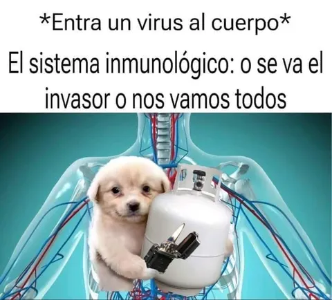 Cachorro contra el virus