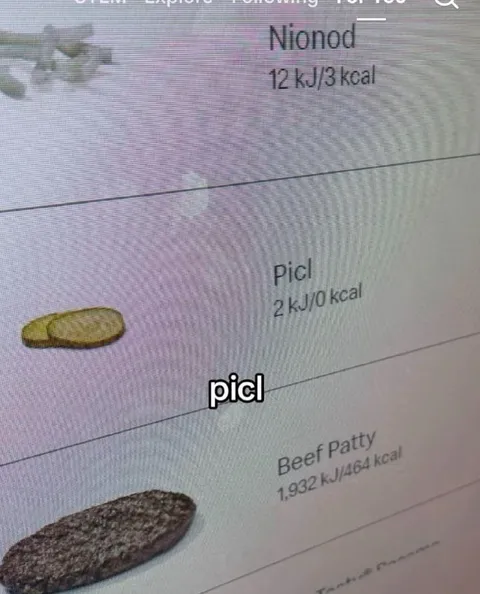 Picl вместо pickle
