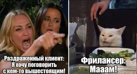Раздражённый клиент и фрилансер