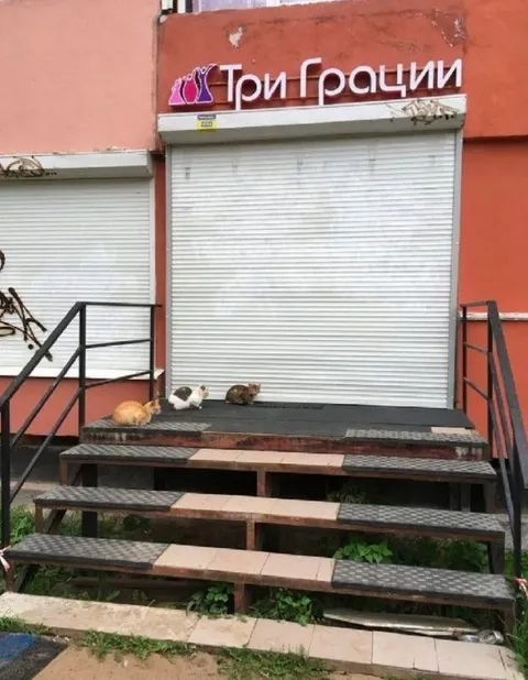 Три грации на ступеньках