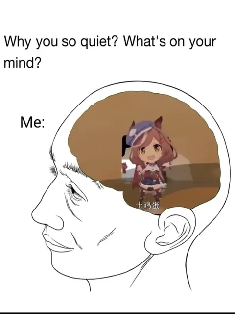 What’s on your mind? Chickens