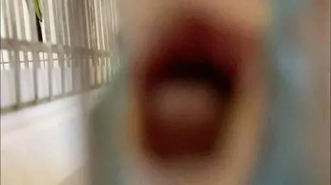 Размытый крик крупным планом
