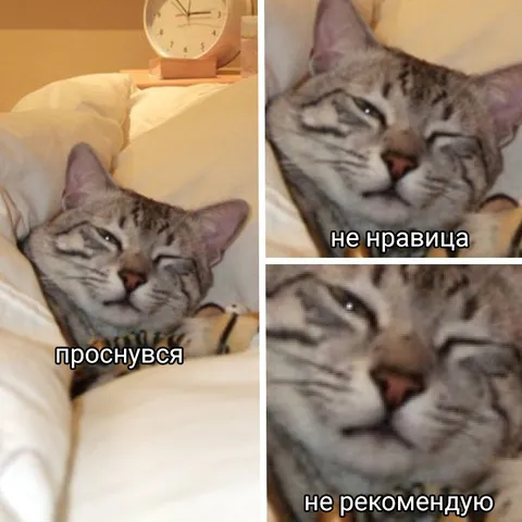 Проснулся и не рекомендую