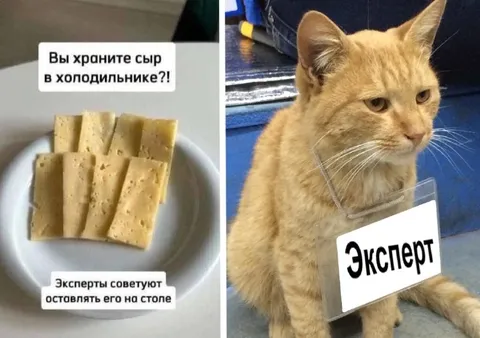 Эксперт о хранении сыра