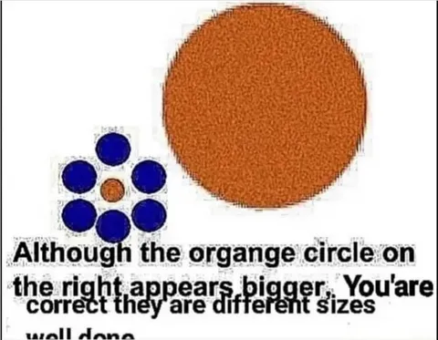 Orange Circles Are Different Sizes