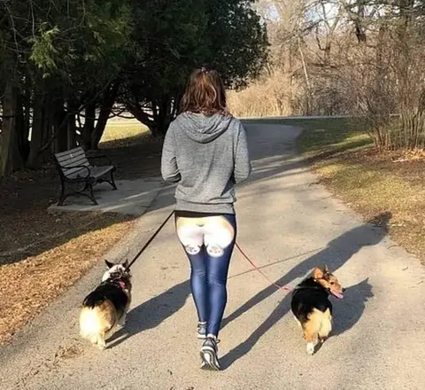 Девушка выгуливает двух корги