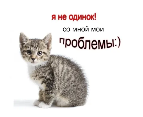 Я не одинок, со мной проблемы