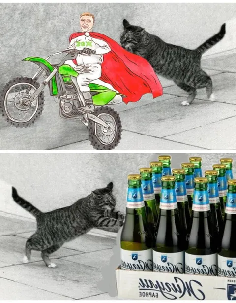 ЗОЖ не устоял перед пивом