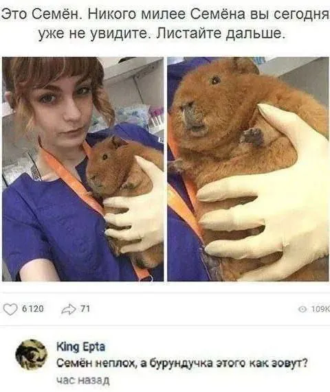Семён и неизвестный бурундук