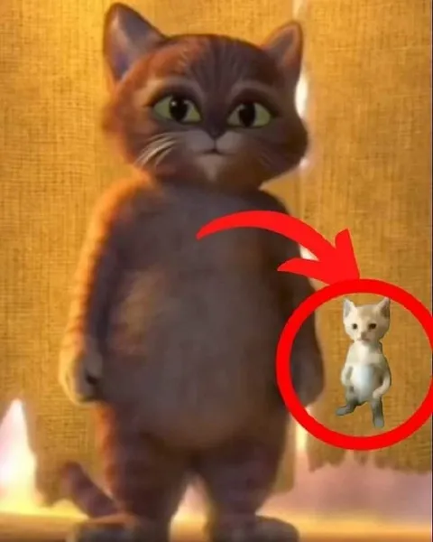 Большой кот и маленький кот
