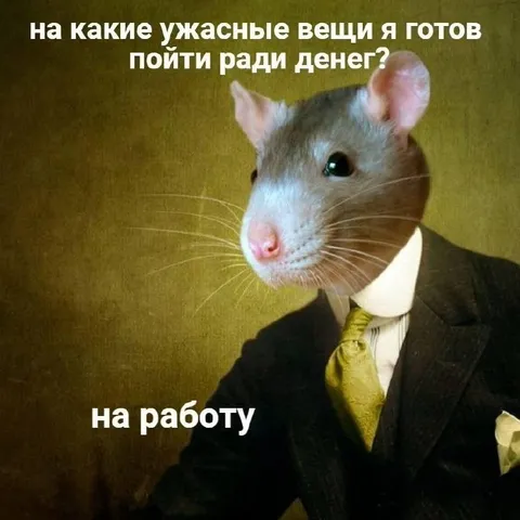 Крыса готова на работу