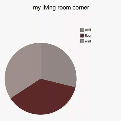 My Living Room Corner Pie Chart