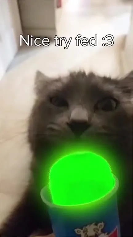 Nice Try Fed Cat