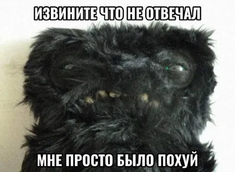 Извините, мне было похуй