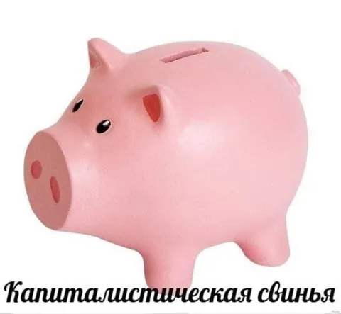 Капиталистическая свинья