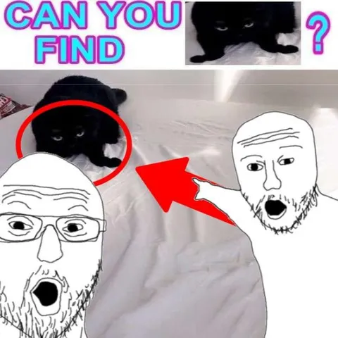 Can You Find the Cat