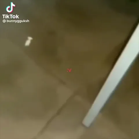 Кот внезапно приближается к камере