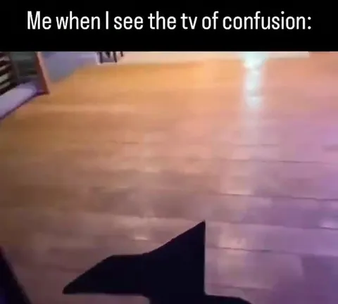Me When I See the TV of Confusion