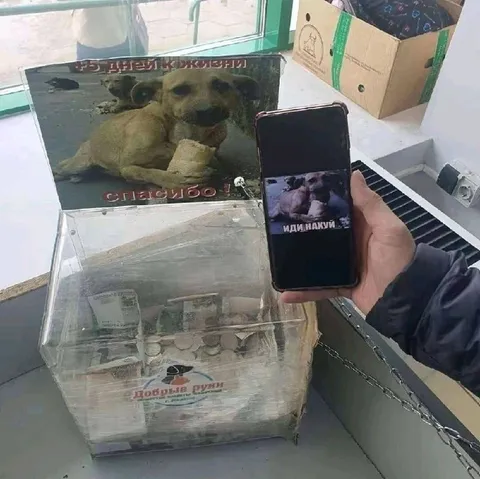 Пожертвование и благодарность