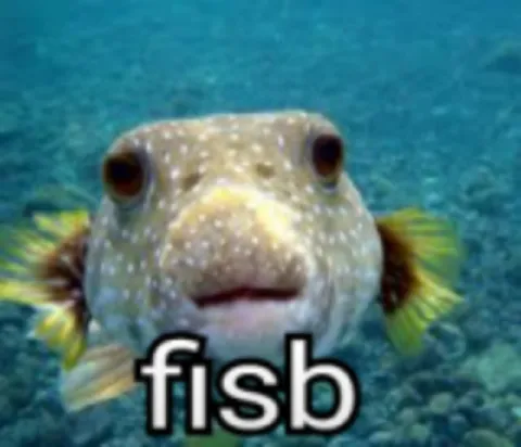 fisб fish meme
