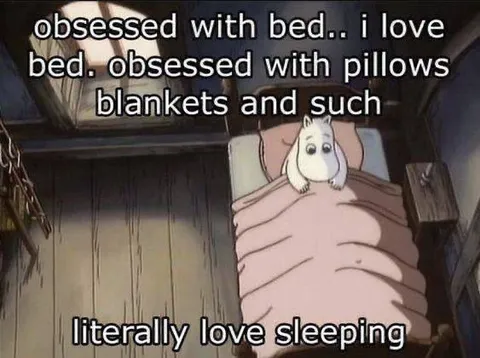 Obsessed With Bed and Sleep