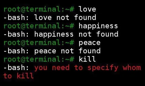 Terminal Cannot Find Peace