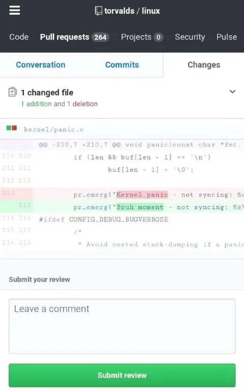 Bruh Moment Kernel Panic