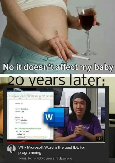 20 Years Later Microsoft Word Programmer