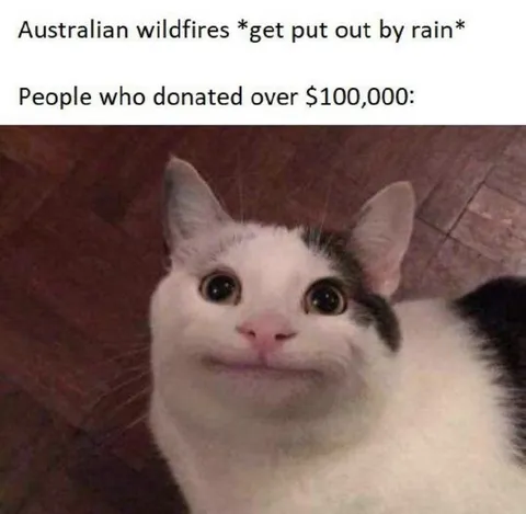 Donations Were All for Nothing