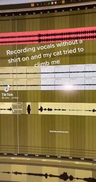 Cat Interrupts the Vocal Recording