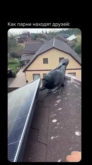 Как парни находят друзей