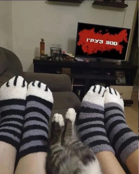 Кот смотрит «Груз 200»