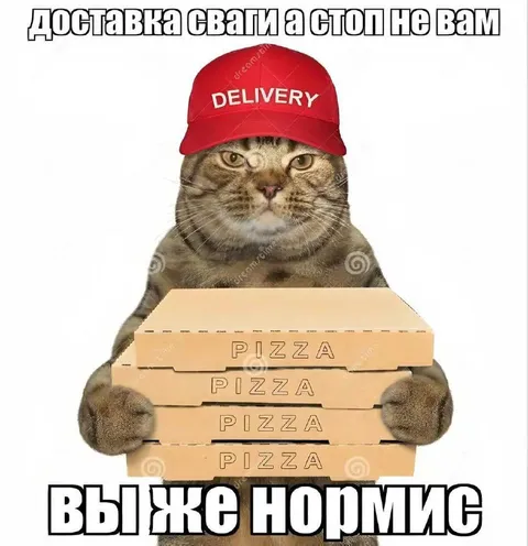 Кот доставил пиццу