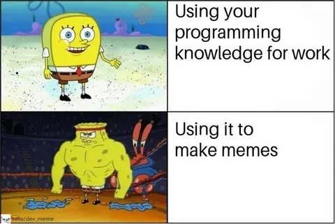 Using Programming Knowledge for Memes