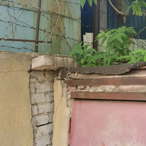 Змейка на старой стене