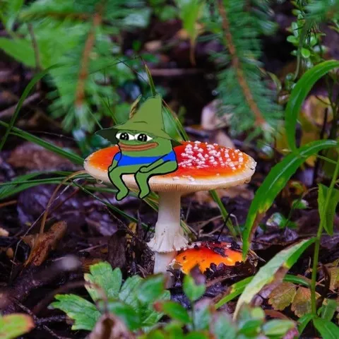 Пепе сидит на грибе