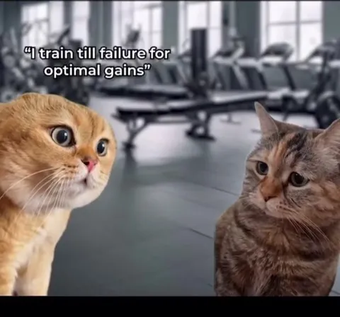 Cats Train Until Failure