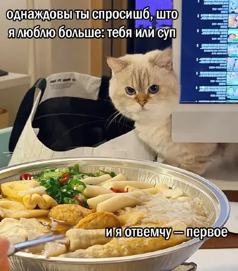 Люблю тебя больше супа