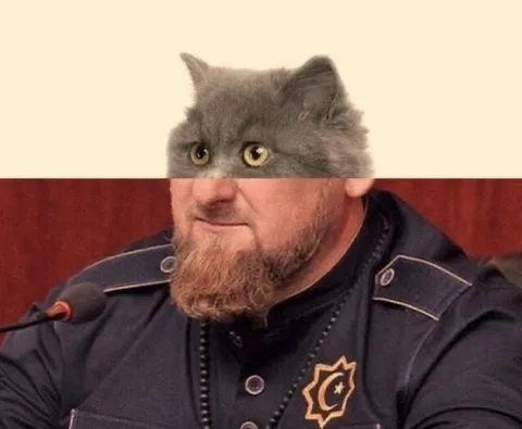 Кот на пресс-конференции