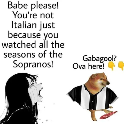 Not Italian Because of The Sopranos