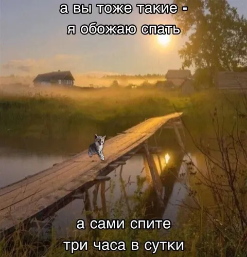 Обожаю спать, но сплю три часа