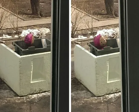Розовый шарик в мусорном контейнере