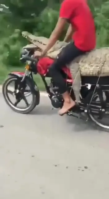 Heavy Driver Motorcycle Compilation