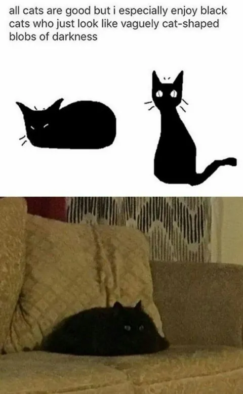 Black Cats as Blobs of Darkness