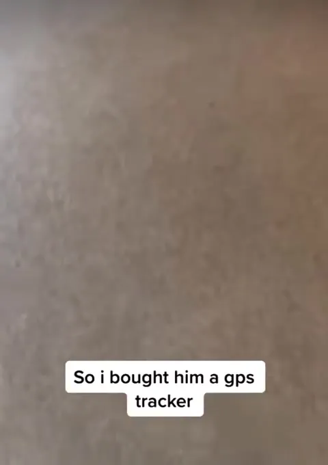 GPS Tracker Reveals Cat's Adventure