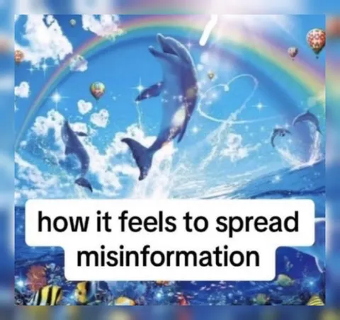 How It Feels to Spread Misinformation