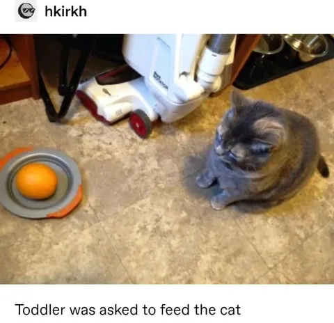 Toddler Asked to Feed the Cat